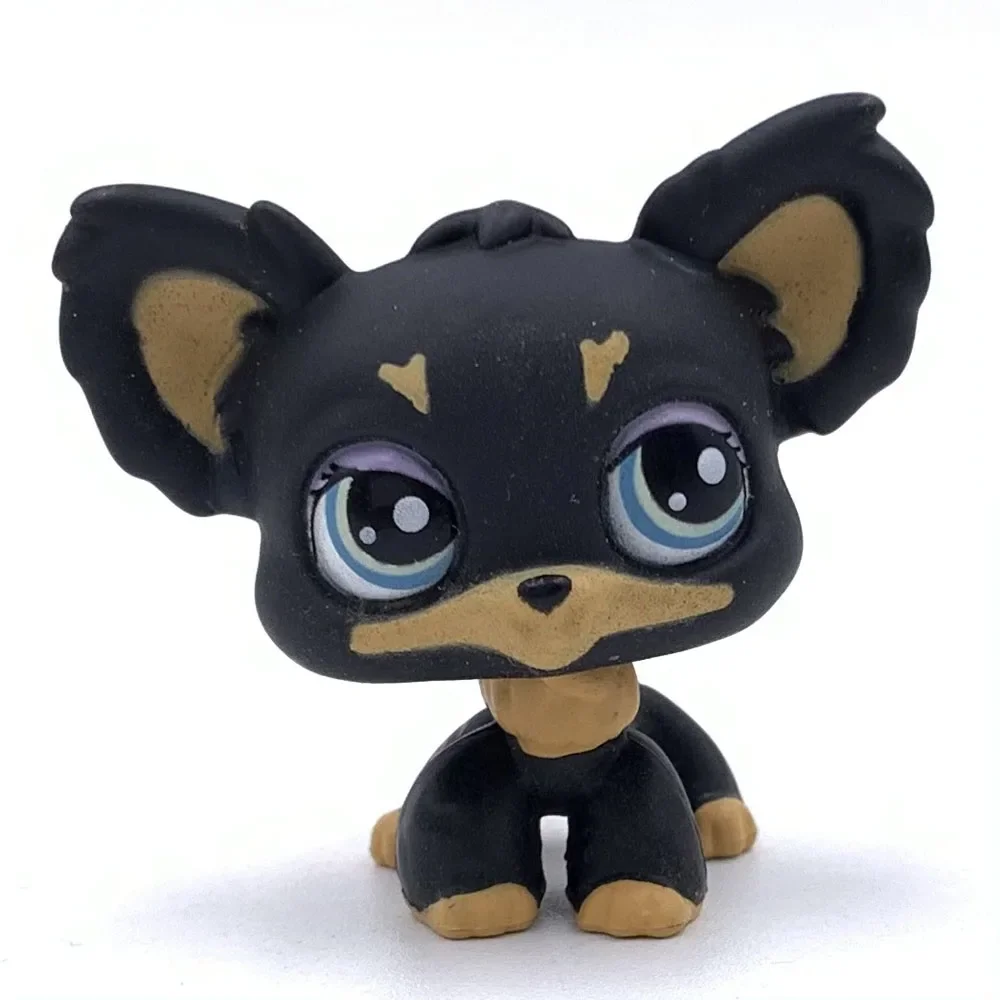Rare pet shop toy black CHIHUAHUA dog #1571 old original