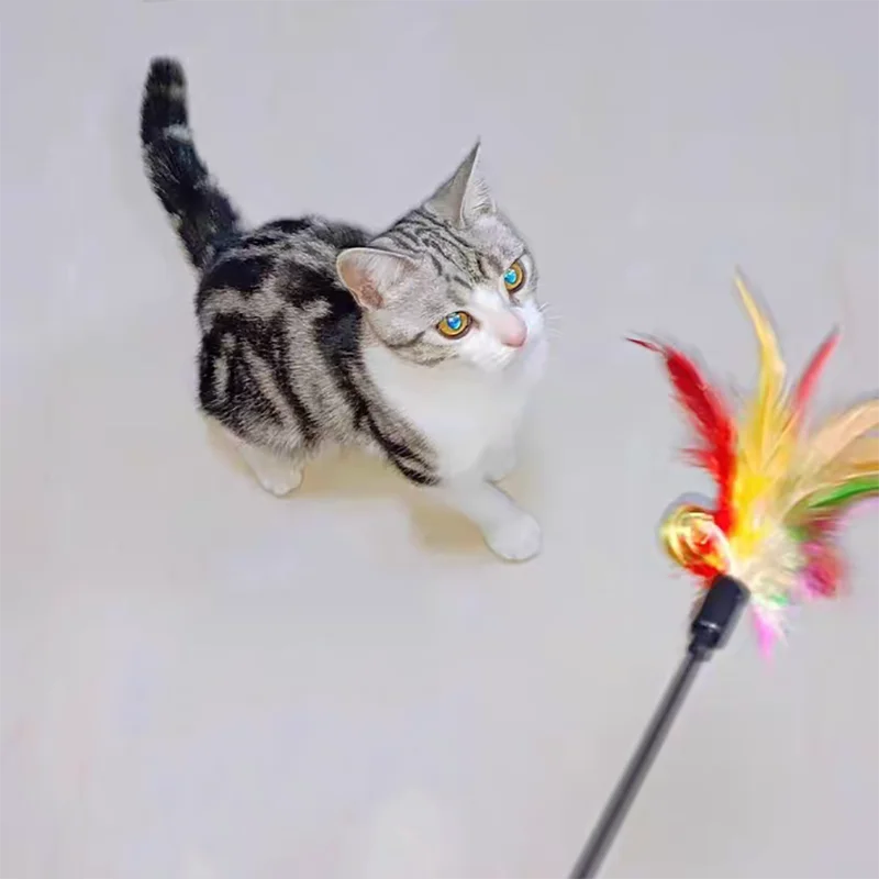 Tease-Cat-Stick-Pet-Toy-Colorful-Feather-Bell-Long-Stick-Bite-Resistant-Relieve-For-Cats-Interesting.jpg