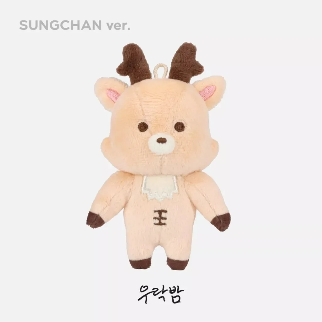 ソンヨンドリ ペンラカバー・シュシュ・ミニドールキーリングセット KPOP RIIZE Cartoon Doll Keychain SUNGCHAN WONBIN SEUNGHAN