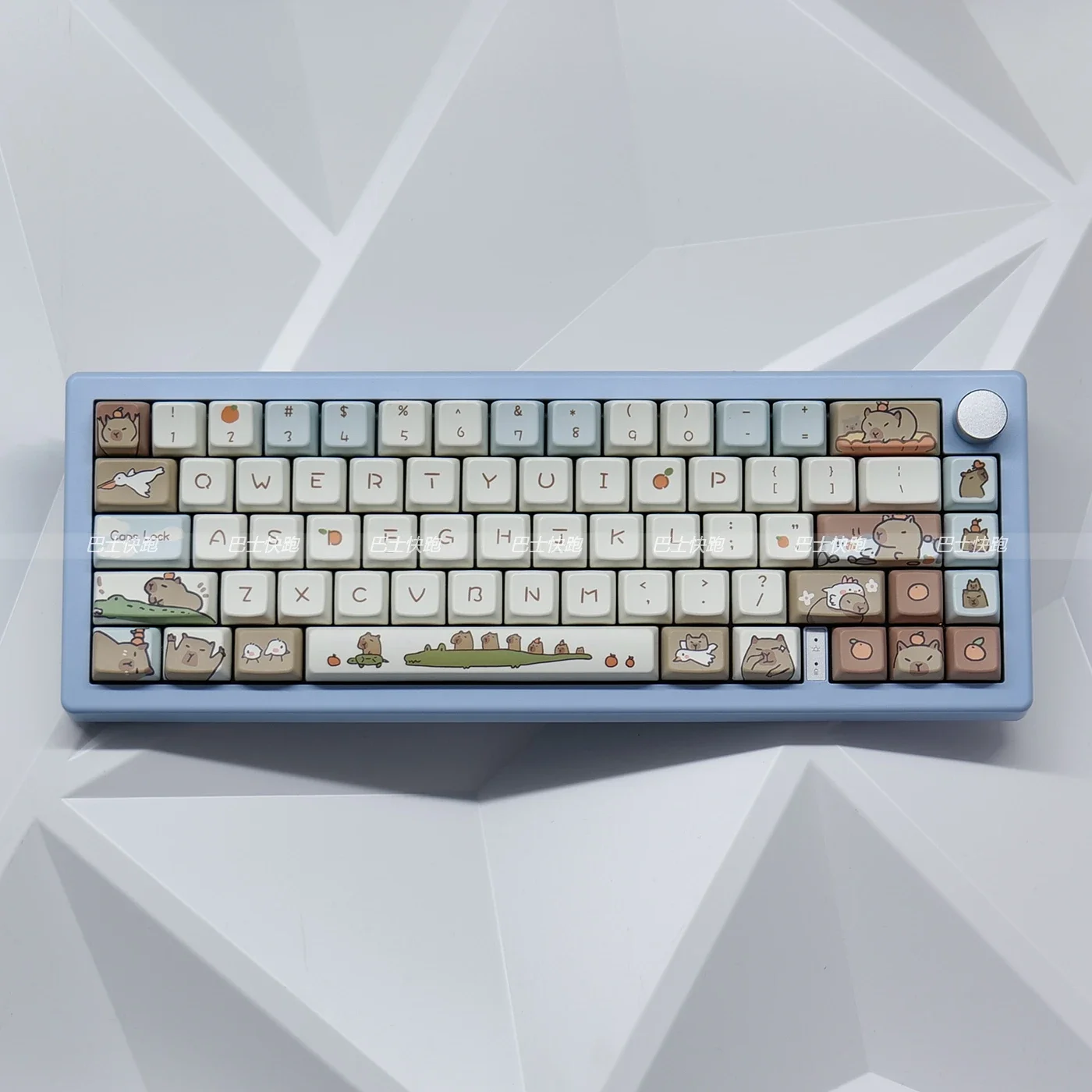 

MiFuny Capybara Cartoon Animal Keycaps MDA Height Cute Cartoon Animal Keycap Set PBT Sublimation Keycaps for Mechanical Keyboard