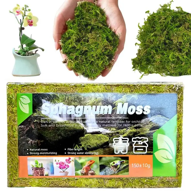 Sphagnum Moha Organikus Műtrágya 150G Természetes Cserepes Keverék Táplálkozási Könnyen Használható Növényi Növekedési Kézművességhez - Image 3