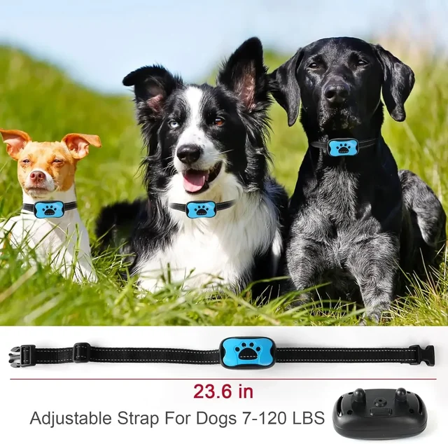 Rechargeable Anti-Bark Dog Collar 4