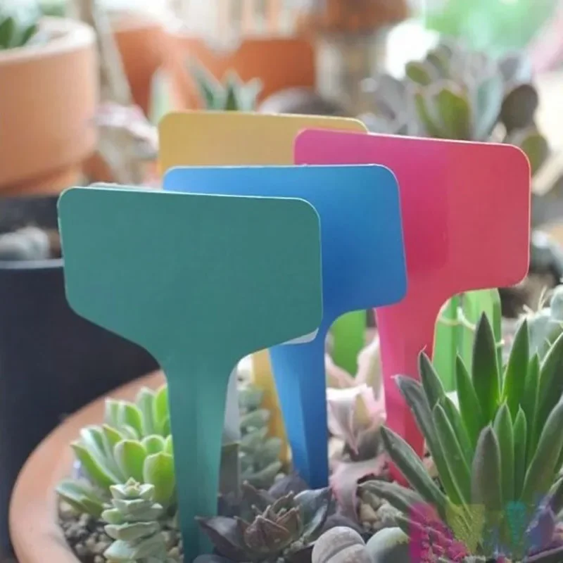 

Garden Labels T-Type Plant Labels Classification Writing Plate Board For Nursery Pots Garden Plant Seedling Mark Tools 50pcs/Set