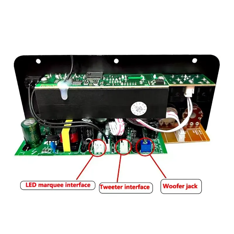 Bluetooth Audio Amplifier 220V 12V Digital Bluetooth Amplifier Board Subwoofer Dual Microphone Karaoke Amp Speaker Home Theater DIY Rechargable Version