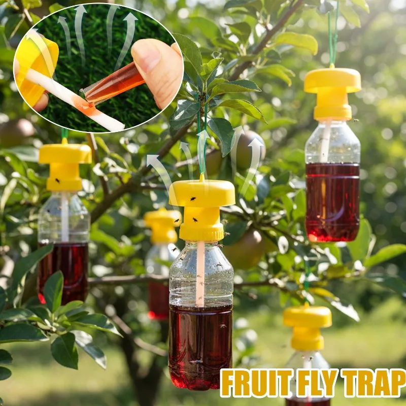 Fruit Fly Trap & Killer | Effective Orchard & Garden Pest Control Solution