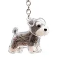 Model C puppy