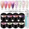 10pcs Gel Nail Polish Set 3D Semi Permanent Thermal Shell Magnet Nail Set With Magnet Stick Soak Off Uv Gel Flower Hybrid Vernis 2