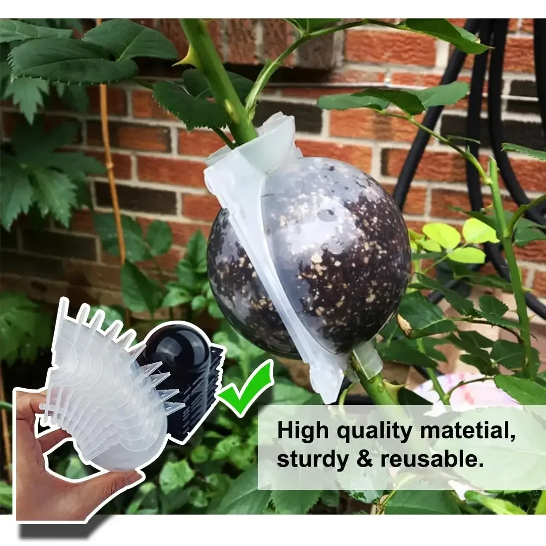 10PCS Plant Rooting Ball Air Layering Propagation Kit High Pressure Propagation Ball Growing Box For Garden Plant Grafting Tools