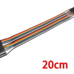 Versatile 20 - Pin Dupont Jumper Wire Cable Set - Male & Female Connections, Multiple Lengths - Female to Female (20cm)