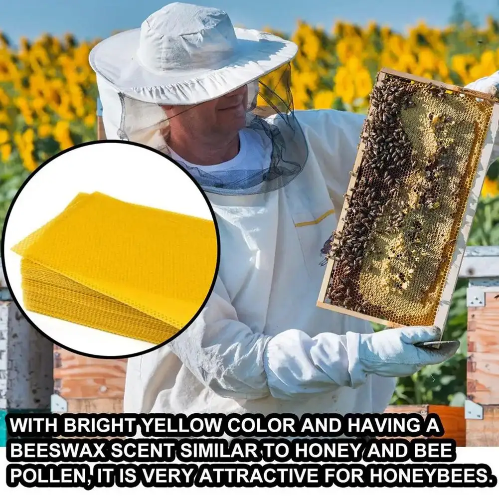 Beekeeping Tools Beeswax Candle Making Kits 10Pcs Beeswax Sheets Candle Making Craft DIY Honey Candles Maker Full Bees Wax Honeycom Foundation Sheets