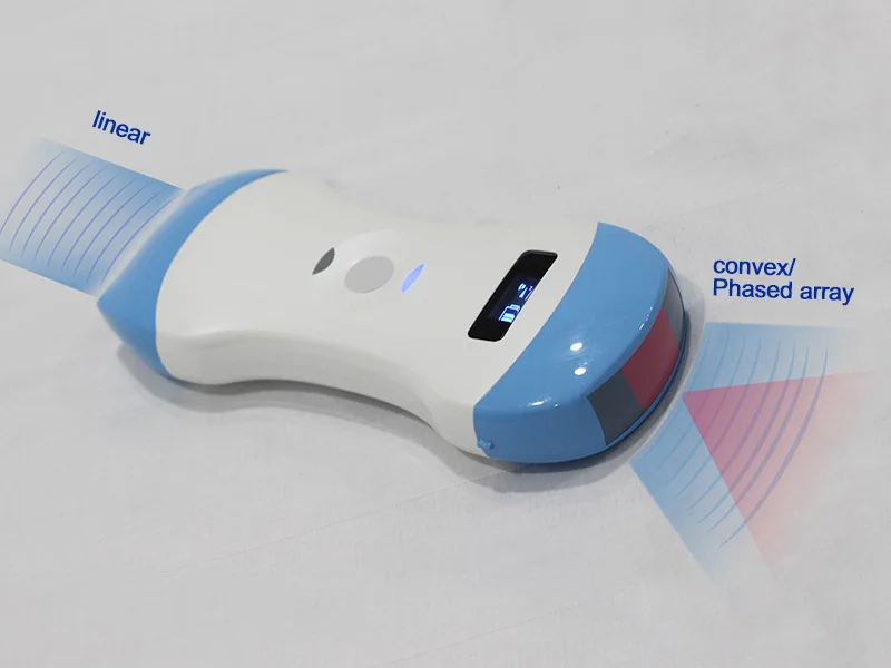 Array Convesso/Lineare/Phased Ultrasuoni 3 In Uno 3 In 1 Palm Doppler