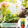 1-48pcs Plastic Plant Support Pile Stand Plant Support Pile for Flowers Greenhouses Arrangement Fixing Rod Holder Garden Tools 3