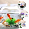 Glass Fish Tank Pom Vases Wall Hooks Decorative Goldfish Bowl Hydroponic Aquarium Transparent Desktop Square 5