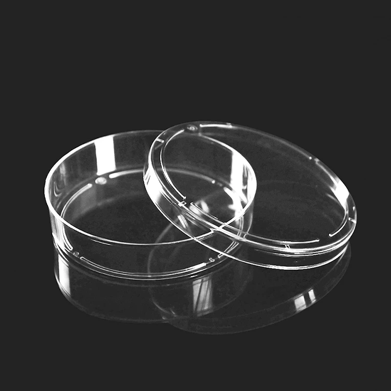 

10Pcs LABSELECT 100mm plastic petri dish, Model: 12310, Disposable culture dish