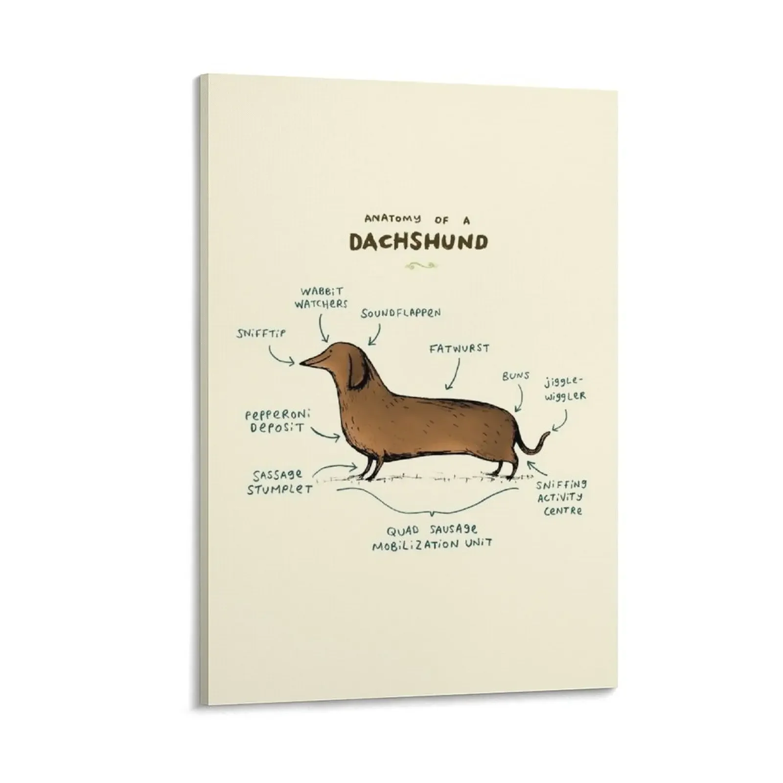 

Anatomy of a Dachshund Canvas Painting posters anime decor Bedroom deco