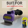 (S)Short hair cats