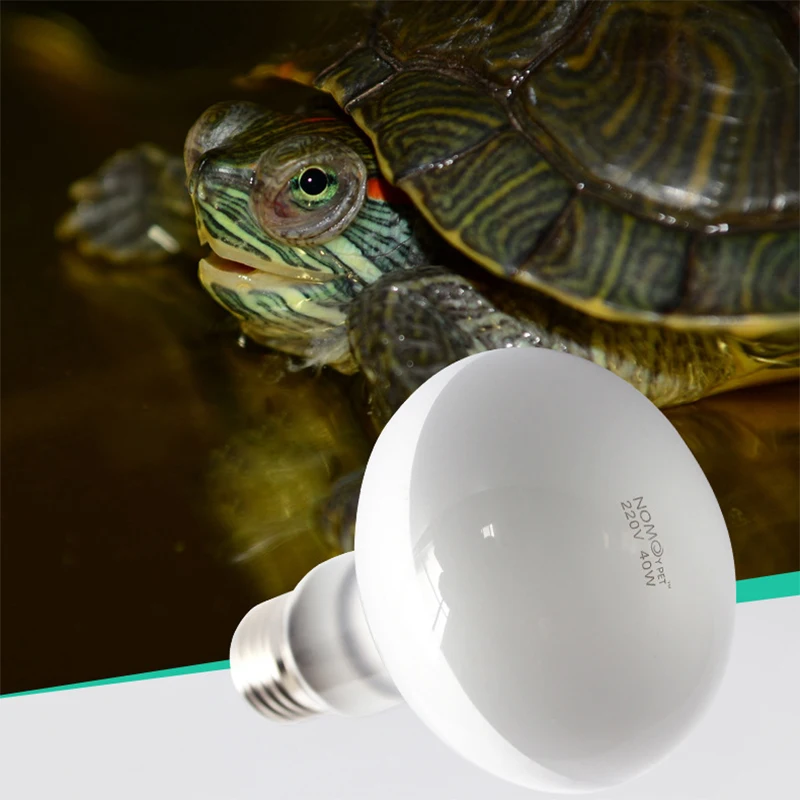 Temperature Controller Heating Lamp Reptile Turtle Heating