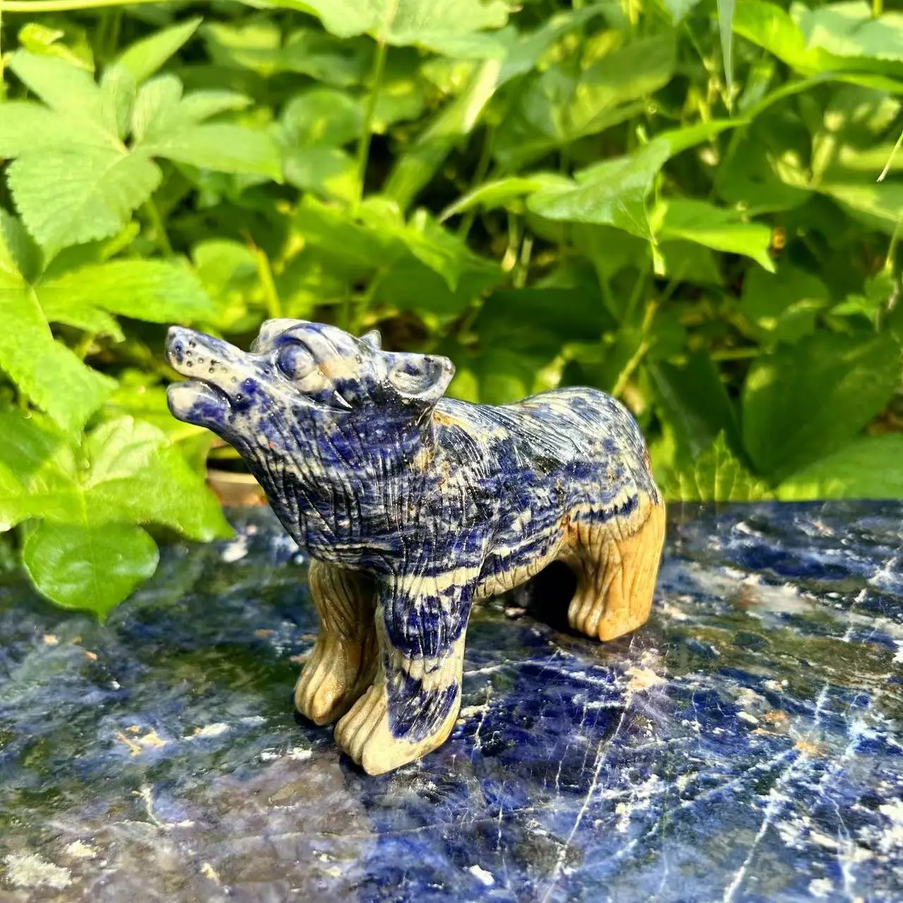 

Wolf Statue Blue Sodalite Natural Stone Carved Home Decoration Healing Crystal Reiki Animal Figurine Gemstone Small Ornament