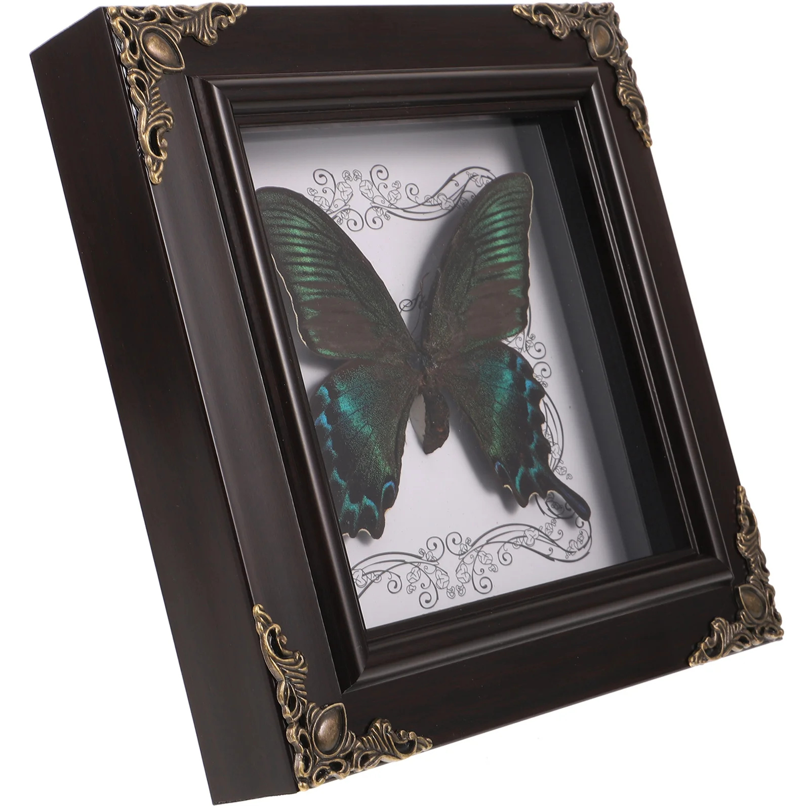 

Butterfly Specimen Photo Frame DIY Display Framed Frames Home Ornament Wall Hanging Shelf Pendant Desktop Handmade Holder
