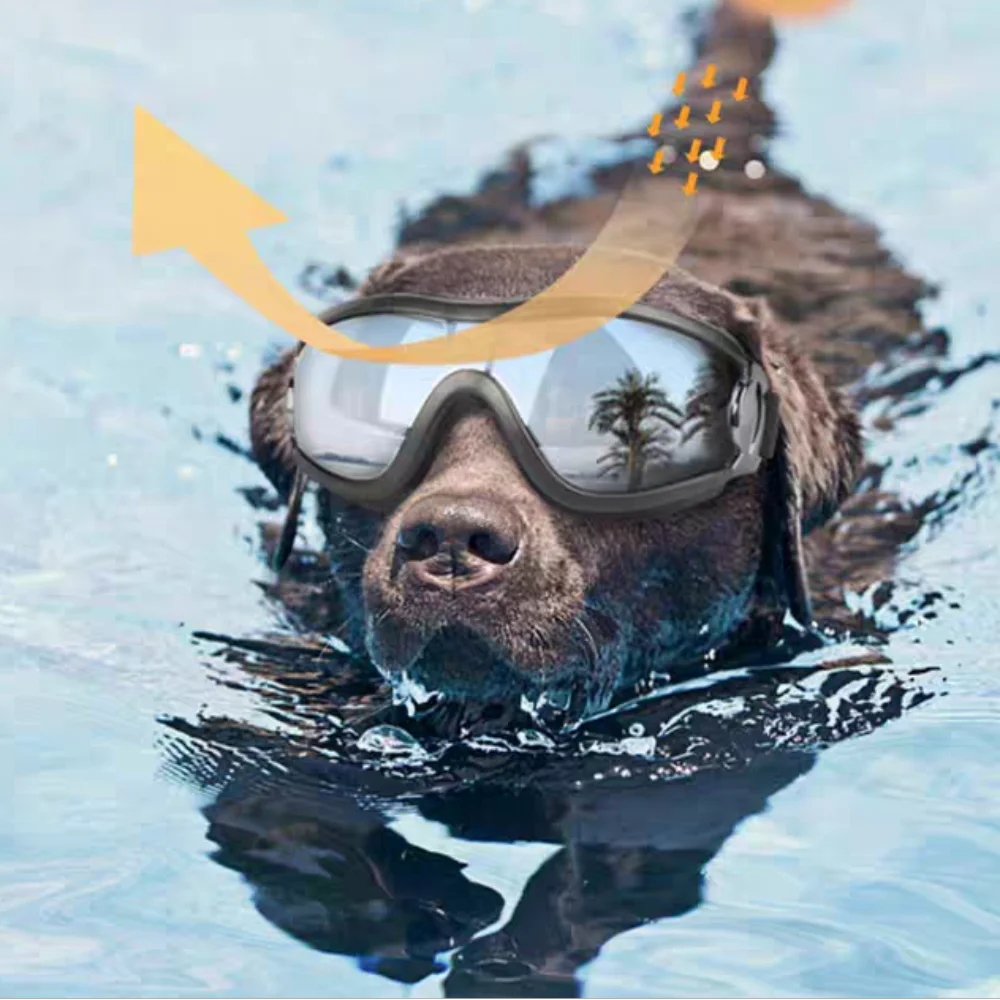 Waterproof Dog Winter Coat 6