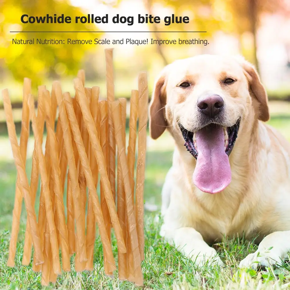 20 Pcs Dog Chews Sticks Tasty Dog Chews Daily Dental Care Chews Puppy Teething Chewing for Small Dogs Teeth Grinding 4