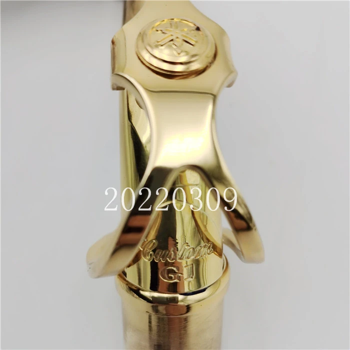 Professional Alto Saxophone Alto Saxophone Accessories Accessories