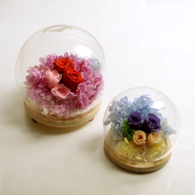 1pc hot Round Ellipse Dust Bell Cover Plastic/glass Display Box Figurine  Miniature Craft Decor