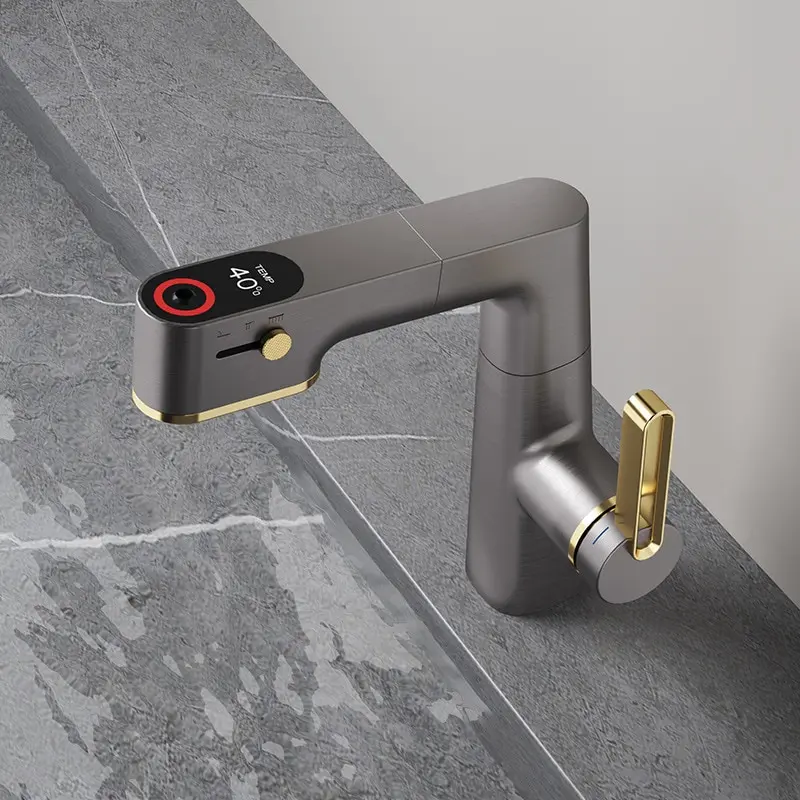 

Gray Toilet Pumping Noodles Washing The Basin Cooler and Cold Water Faucet Can be Lifted Freely To Rotate the Faucet