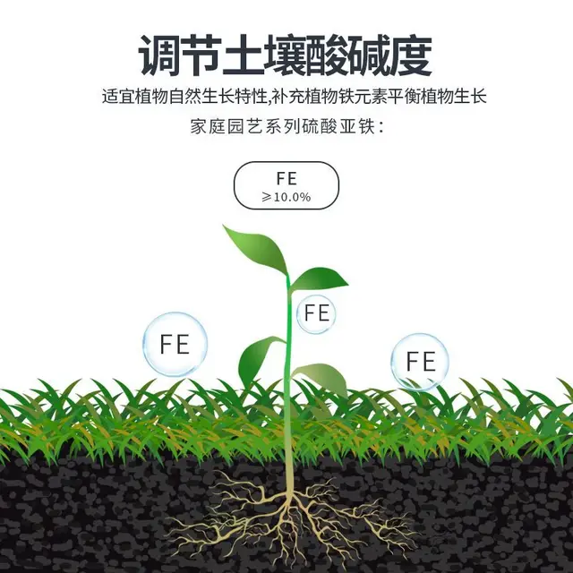 Vas Szulfát Virág Műtrágya Granulátum Általános Célú Jázmin Azalea Kerti - Image 4