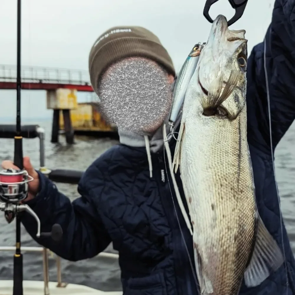 ルアー・フライ GABAZU 99 SET UPPER 125S DR KAGELou 100F ルアー・フライ GABAZU 99 SET UPPER 125S DR KAGELou 100F ルアー