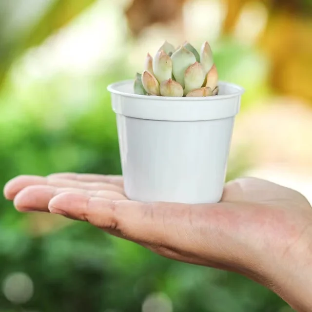 10-50Db Mini Plasztikai Óvoda Növény Termesztése Edények Kerek Virágpohár Tartály Otthoni Virágcserép Kerti Készletek Vetőmagállványokhoz - Image 5