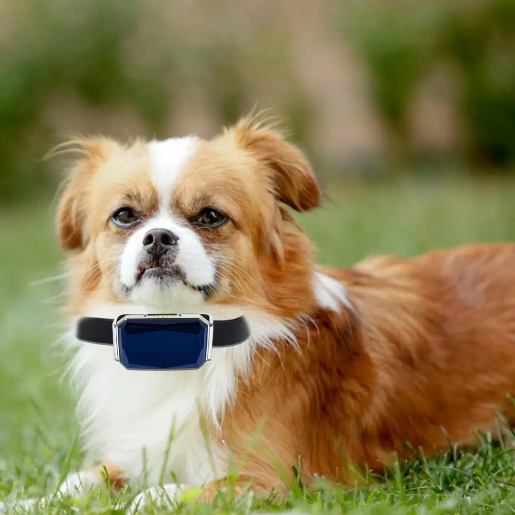 1 Set Cat Tracker Location History Pet Tracker Pet Dog Cat Location Activity Collar
