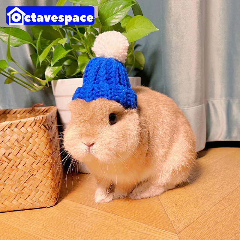 Accessories Rabbit Guinea Pig | Pet Rabbit Decorative Costume Hat Pet Decorative - Aliexpress