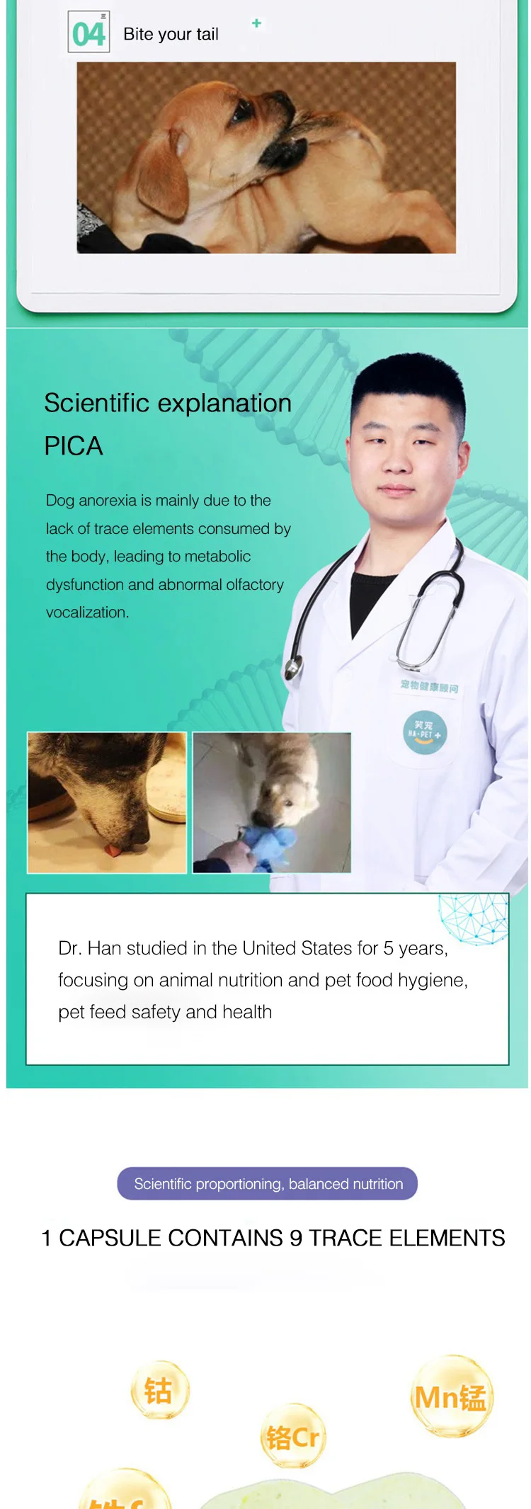 animal de estimação traço elemento comprimidos cão suplemento de cálcio comprimidos teddy puppies anorexia fezes nutrição produtos de saúde