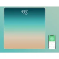 Tiansheng Gradual Weight Scale Home Intelligent Bluetooth Height Electronic Scale Human Professional Weight Scale Health Body 1