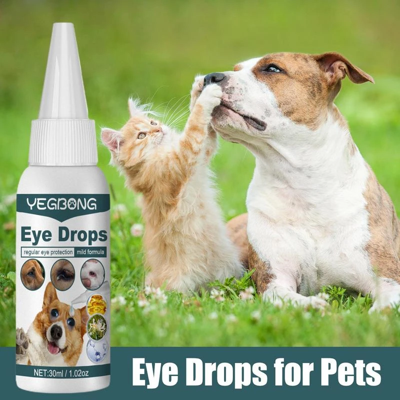 How Do You Give A Hard Dog Eye Drops