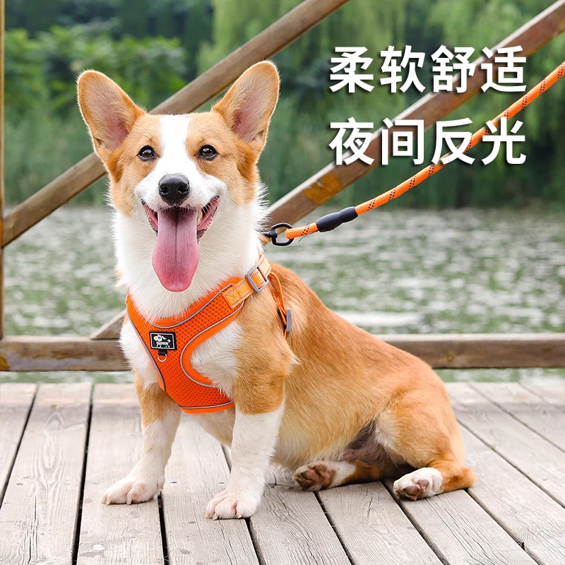 

Method of small and medium-sized dog corgi dog leash vest type bucket firewood dog dog rope adjustable chest straps dog chain