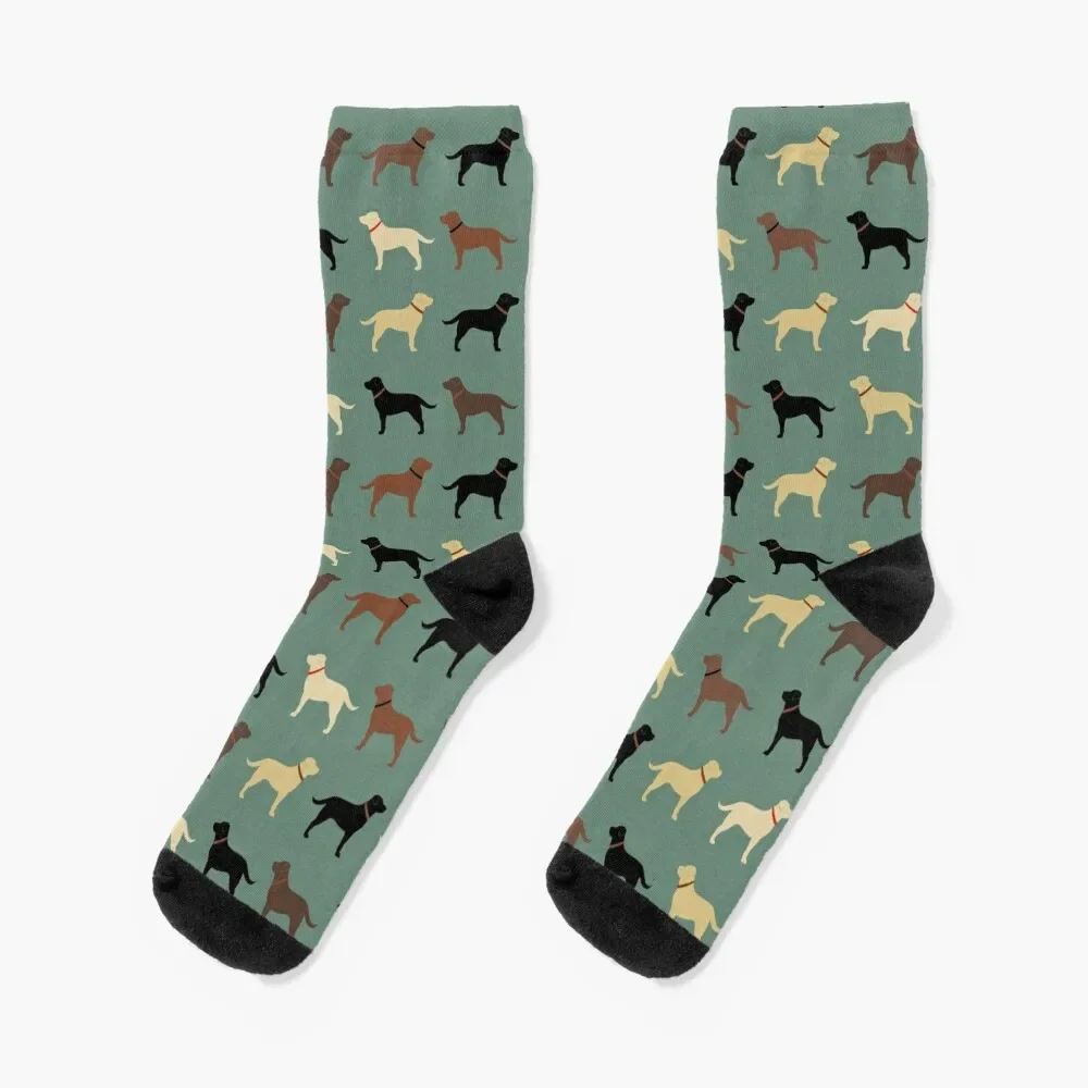 Labrador Retriever Dog Silhouettes Pattern with Chocolate, Yellow, Red and Black Labs Socks funny gifts Socks Girl Men's funny girl