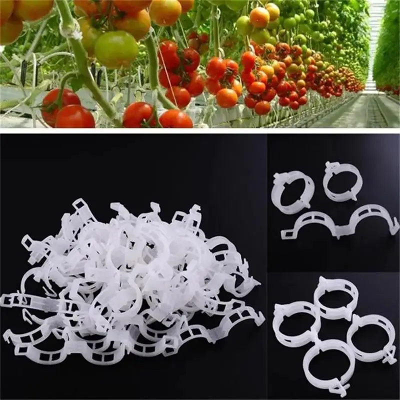 100PCS Fruit Clip Garden Plant Plastic Binding Vine Binding Branch Clip Support Tomato Fixing Plant Holder Trellis Clips