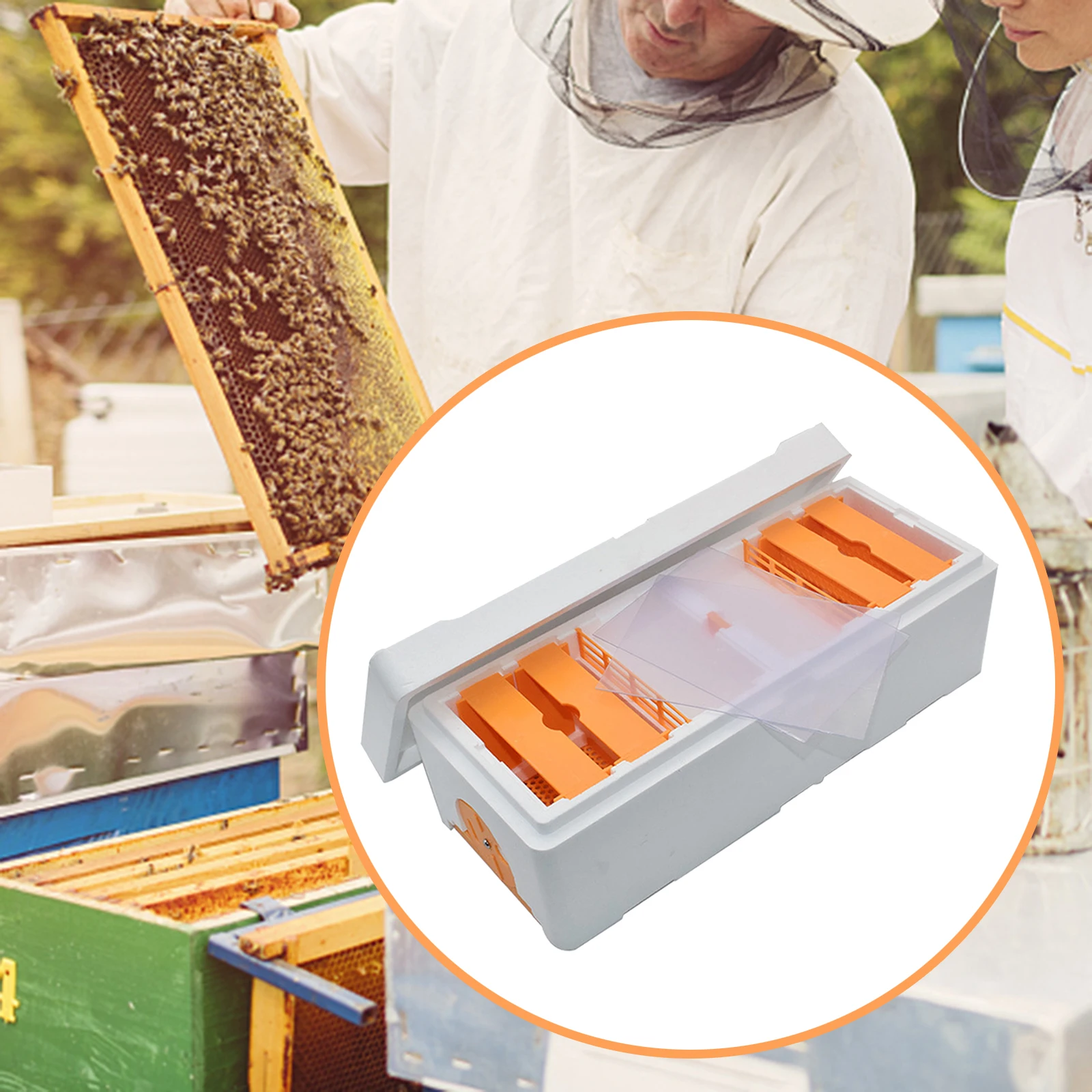 Bee Mating Hives Bee Rearing Cage Beekeeping Box Mating Box For Beekeeping Beekeeper Supplies Outdoor Rearing Boxes Hives