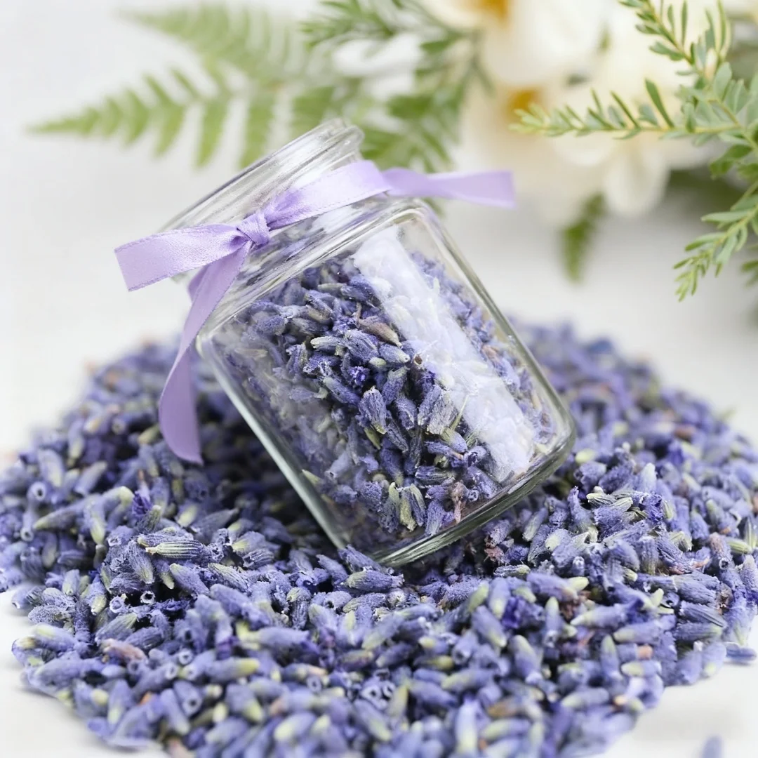 Getrocknete Lavendelblüten Für Wohndekoration Und Duft_voghion.com
