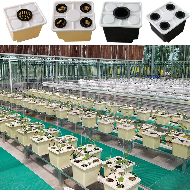 

Home Balcony Soilless Cultivation Equipment Indoor Planting Dutch Barrel Greenhouse Vegetables Fruits Hydroponic Growth System