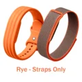 Rye