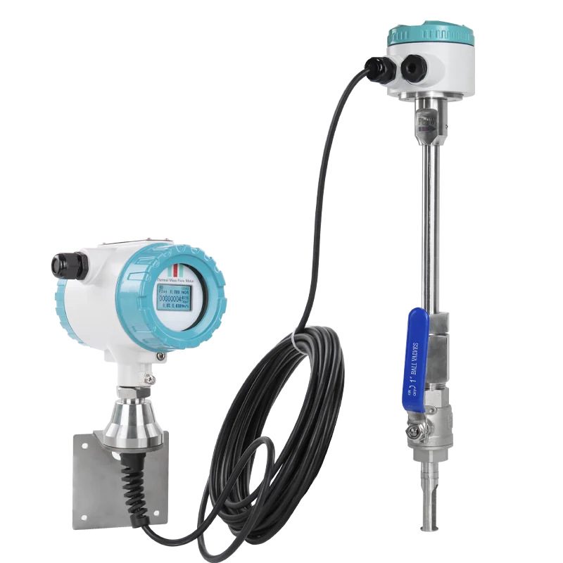 

Atex Explosion Proof Compressed Air Thermal Mass Flow Meter