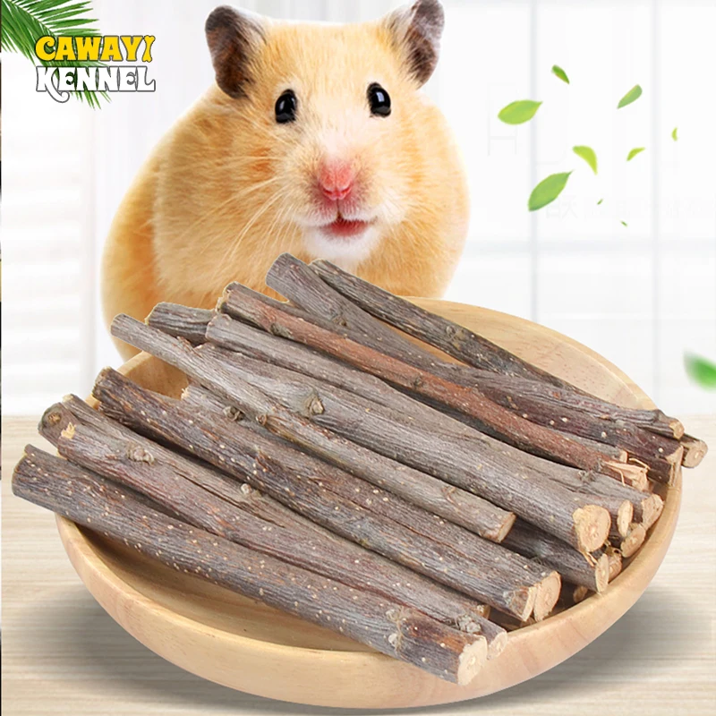 Hamster Toy 50/100/200g Apple Tree Stick Teeth Grinding