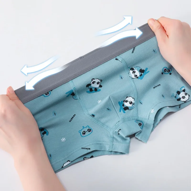 4PCS Boys Panties Cotton Soft Antibacterial Thin Breathable Comfort Underwear 3 + y Young Child Cute Print Knickers