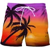 Parrot Palm Cocoanut Tree Beach Shorts Men Summer Short Pants 3D Flora Printed Board Trunks Swimsuit Woman 2023 homme Ice Shorts 5