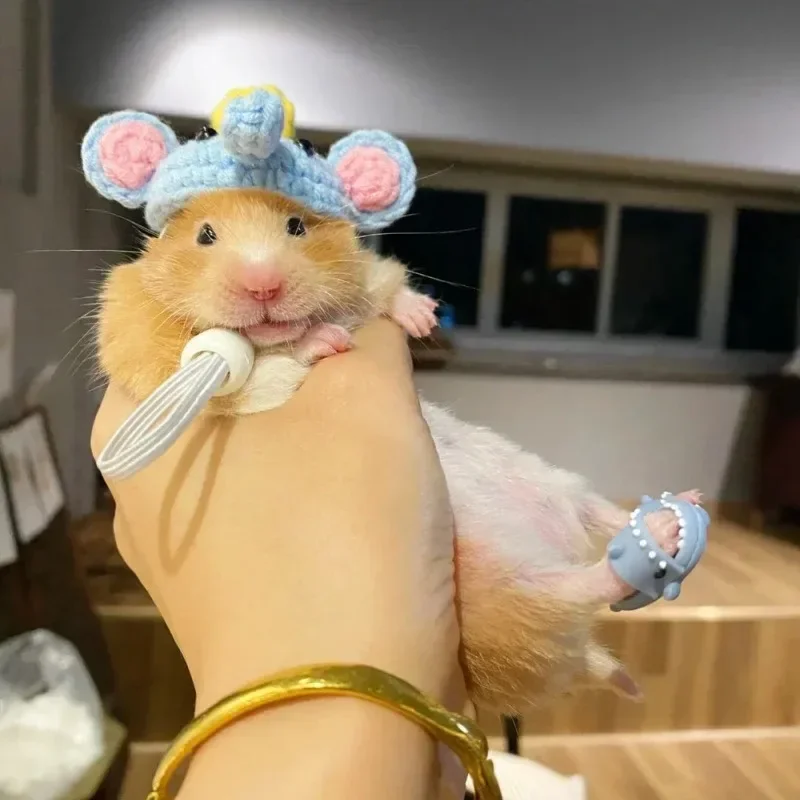 Pet Slippers and Costumes Hamster Shoes Golden Bear Slippers Shark Seal Cosplay Suit Small Pet Clothing
