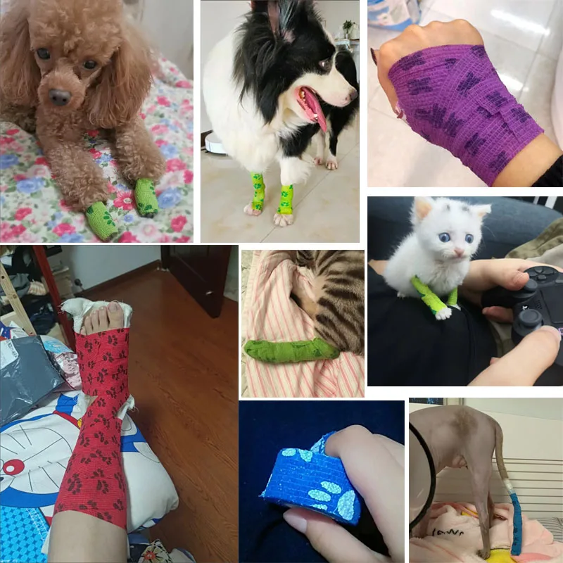 Sf8ec0544a6c548faae19d1058d14b20cR.jpg Sf8ec0544a6c548faae19d1058d14b20cR.jpg