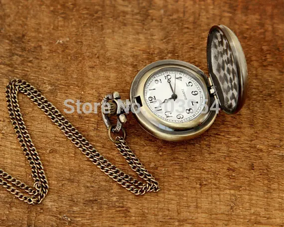 Vintage Movie The Chronicles of Narnia Pocket Watches 12pcs/lot Wholesale Steampunk Jewelry Mens Womens Chain Necklace Gift
